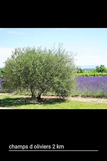 Villa #Aillan Herve #Maison Avec Piscine Privee En Provence Saint-Maurice-sur-Eygues Francia